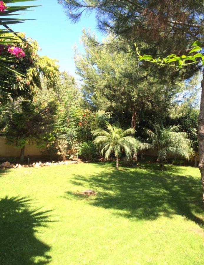 Villa Natalia Ayia Napa Exterior photo