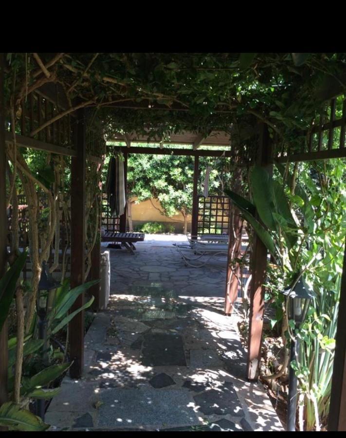 Villa Natalia Ayia Napa Exterior photo